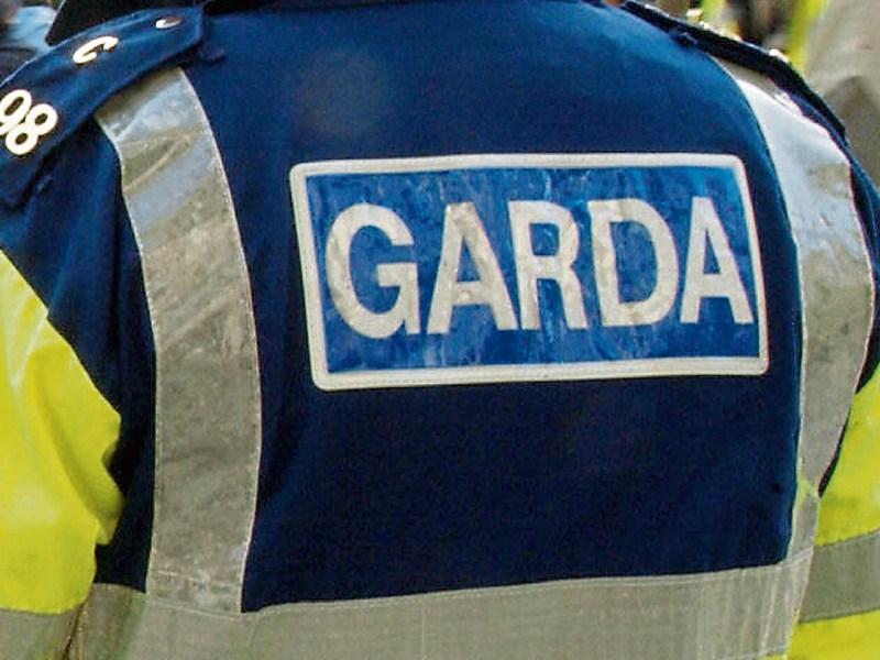 Raiders stopped in tracks during attempted Longford burglary