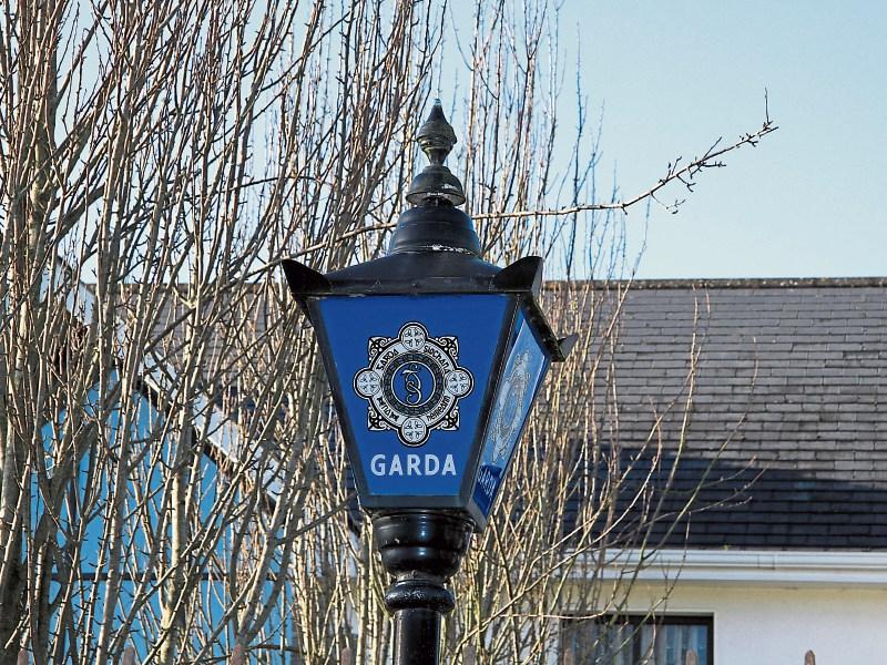 Gardaí appeal for information over Longford car thefts