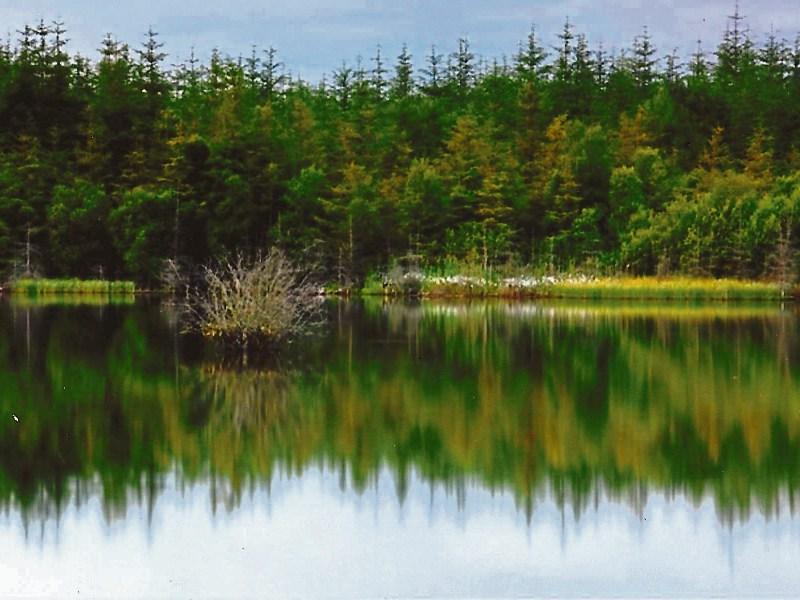 Man dies in tragic accident at Midlands lake