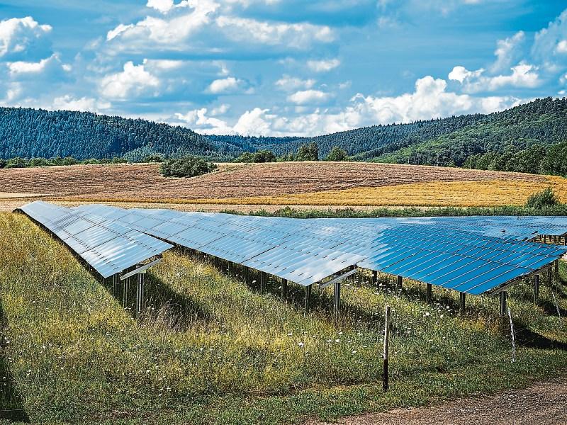 Solar Farm