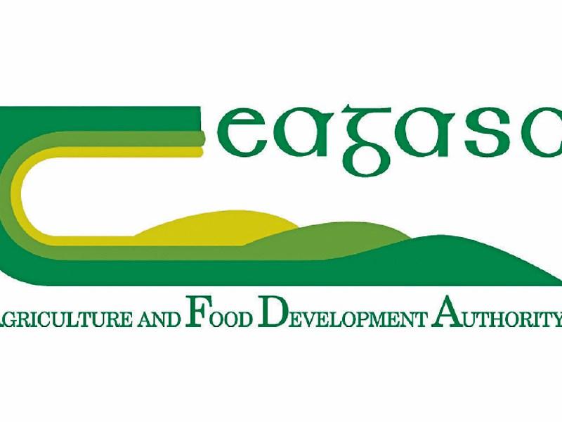 Teagasc New Office Opened