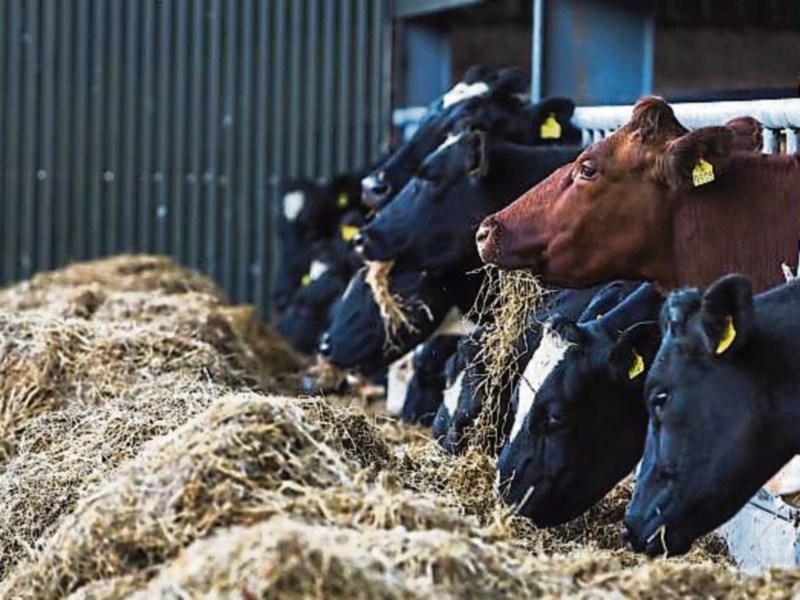 'Forgotten farmers’ in Longford to benefit from new scheme