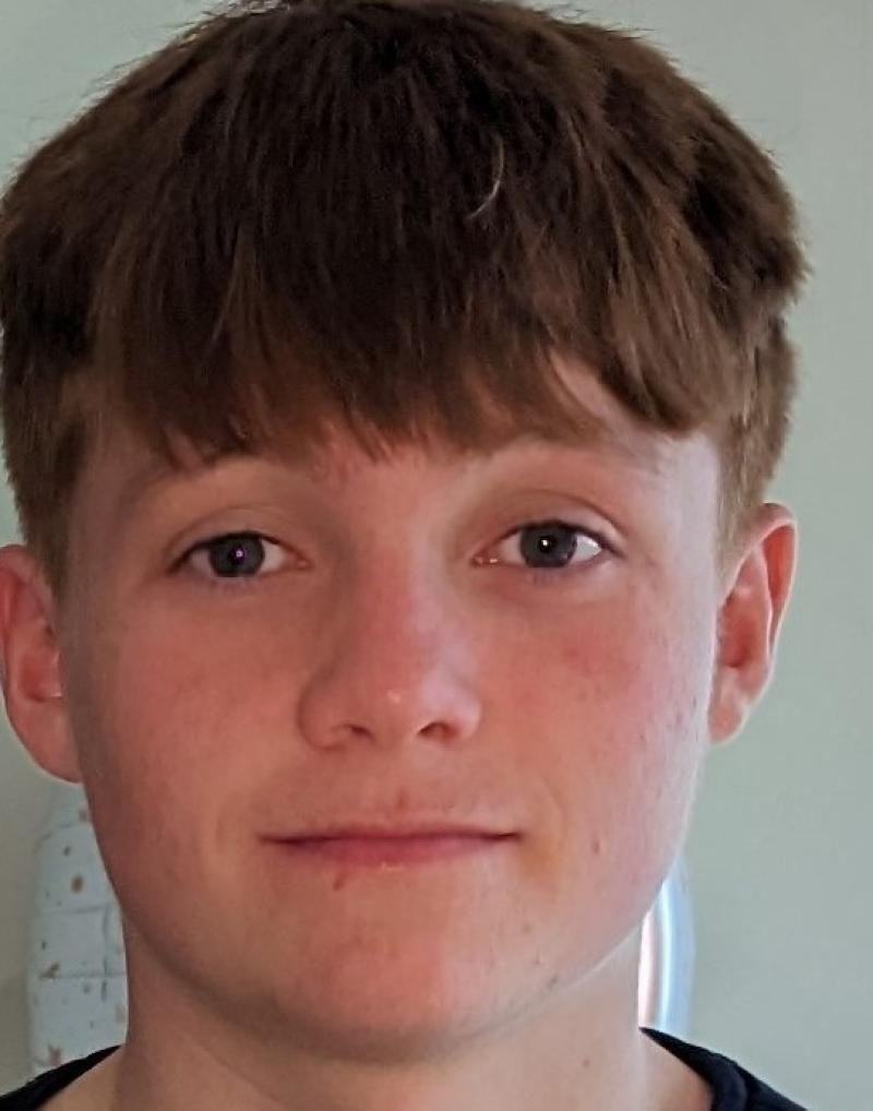 Gardaí issue appeal to help find missing Midlands teenager 