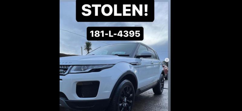 Niamh de Brún-Reid appeals for information after her car is stolen in Limerick 