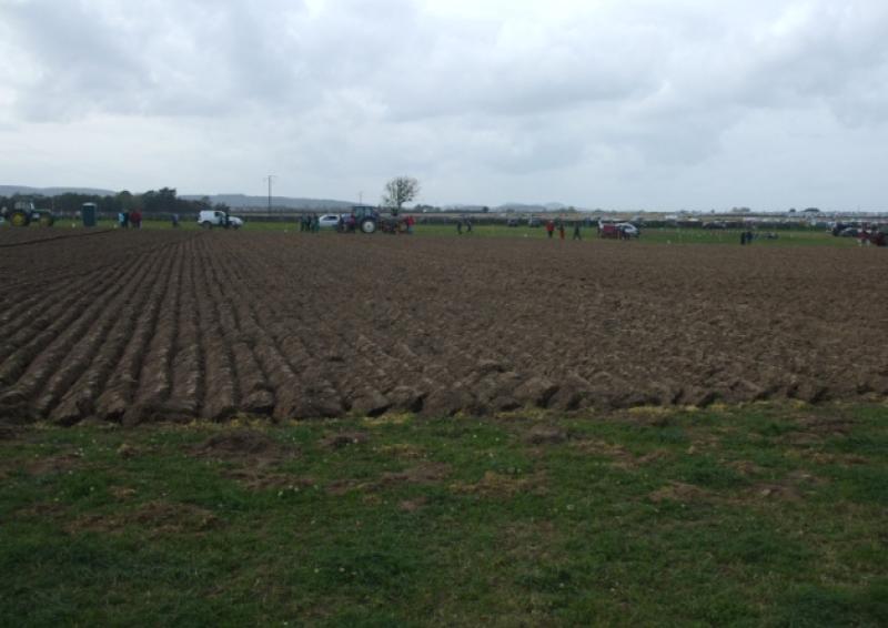 Longford records lowest land sale price in North Leinster Longford Live