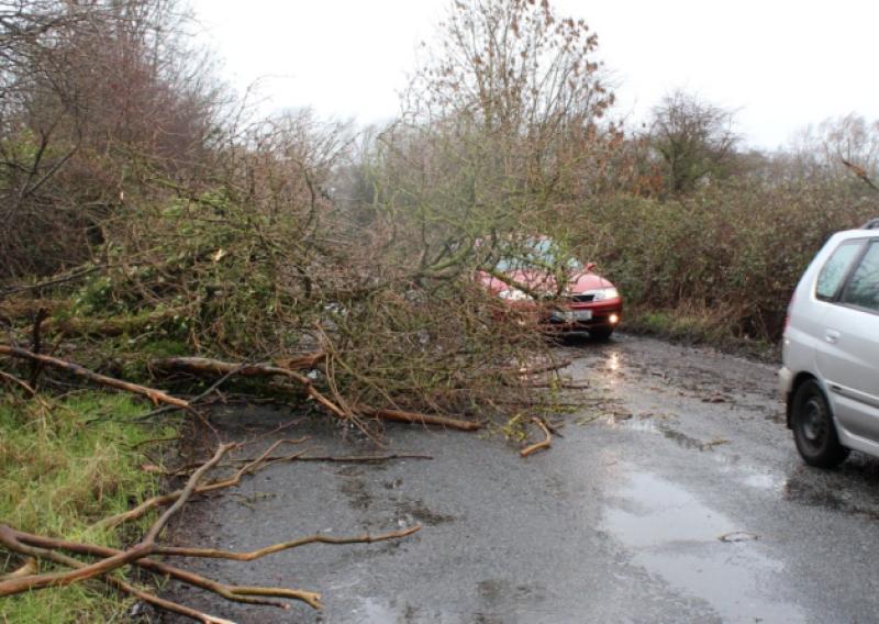 Storm Eleanor Latest: Longford road users urged to be alert to flooding and debris as Met Éireann  updates weather warning