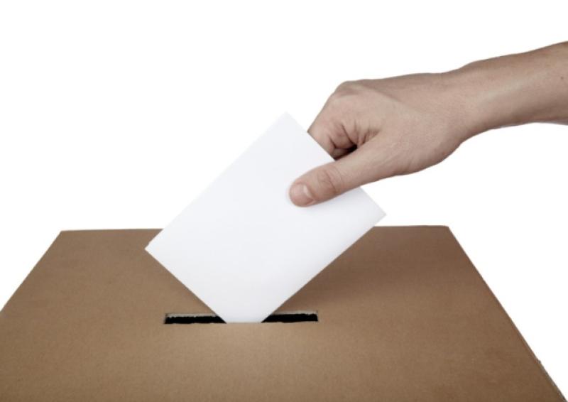Local election update