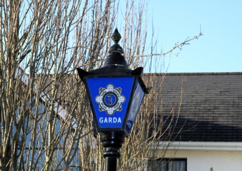 Gardai are seeking a thief who stole a woman's handbag in broad daylight in the vacinity of Park Road in Longford town last week. Photo: Michelle Ghee www.gphotos.ie