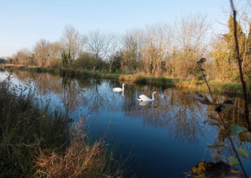 Seadna Ryan outlined plans to boost Longford tourism during last weeks County Council meeting. Photo: Shelley Corcoran