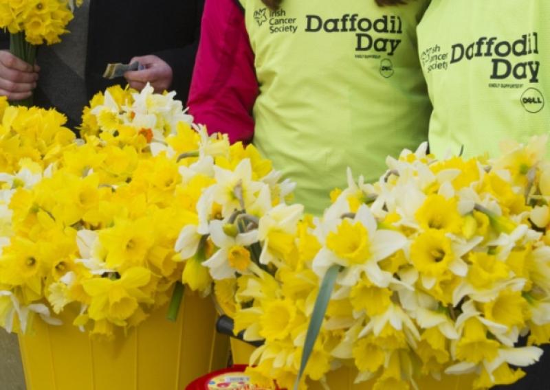 Appeal for Longford people to support the most important Daffodil Day ever