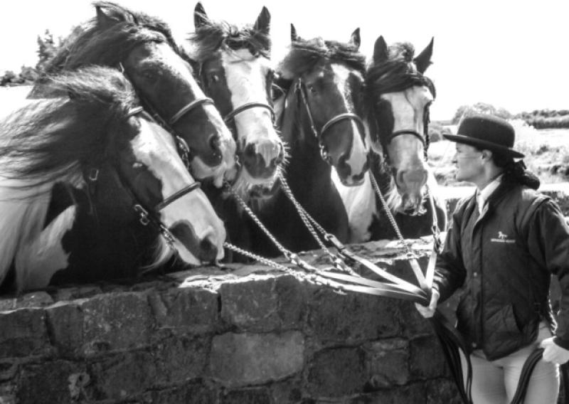 To celebrate National Heritage Week, Co Longford is hosting a series of events suitable for young and old between Saturday, August 22 and Sunday, August 30.