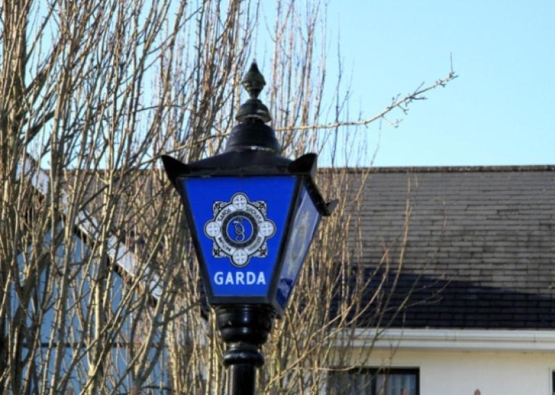 Thieves flee Longford housing estate empty-handed 