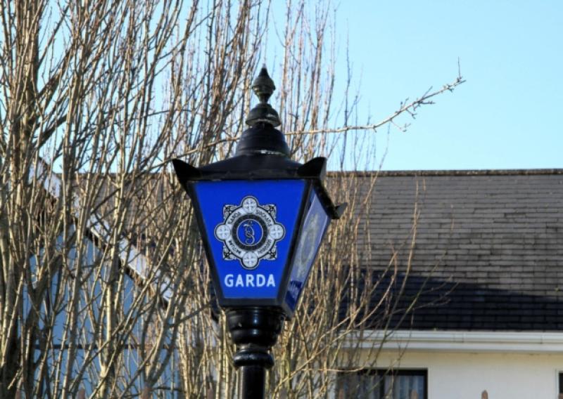 A large cannabis grow-house was discovered by gardai in Arva last night (Thursday).