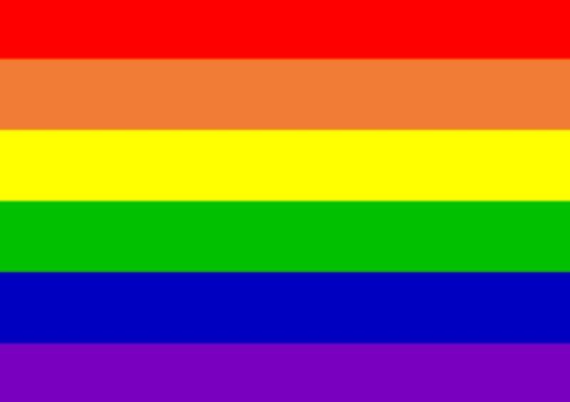 Longford LGBT have welcomed the Government's decision to hold a referendum on same-sex marriage