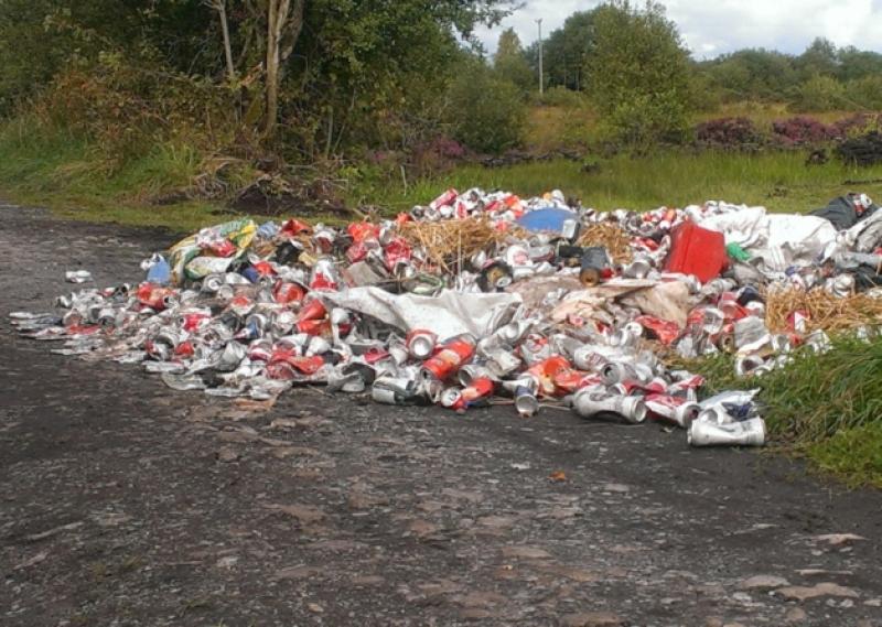 Just some of the rubbish dumped a short distance from Corlea Trackway Centre.