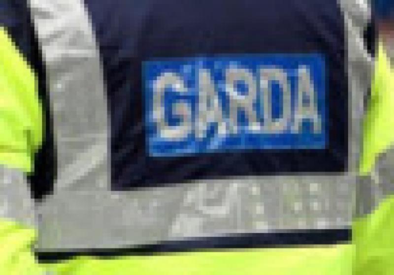 Gardai are hunting thieves who made off with a sum of cash from a Longford business over the course of Monday night/Tuesday morning.