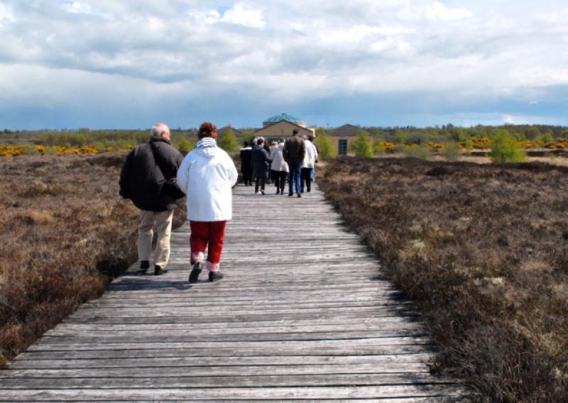 Four days of painting will take place in the surroundings of Corlea Trackway Visitor Centre