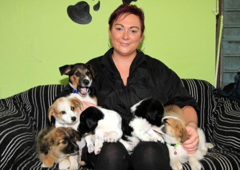 LSPCA volunteer Amy O'Shaughnessy pictured with some of the dogs rescued in the last four days in Longford. Photo: Michelle Ghee. www.gphotos.ie