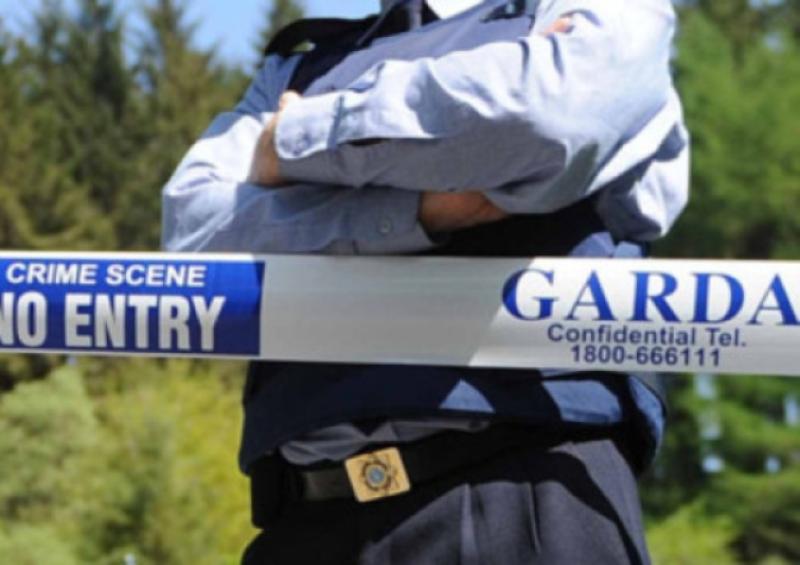 Man arrested in Longford  in relation to alleged money laundering