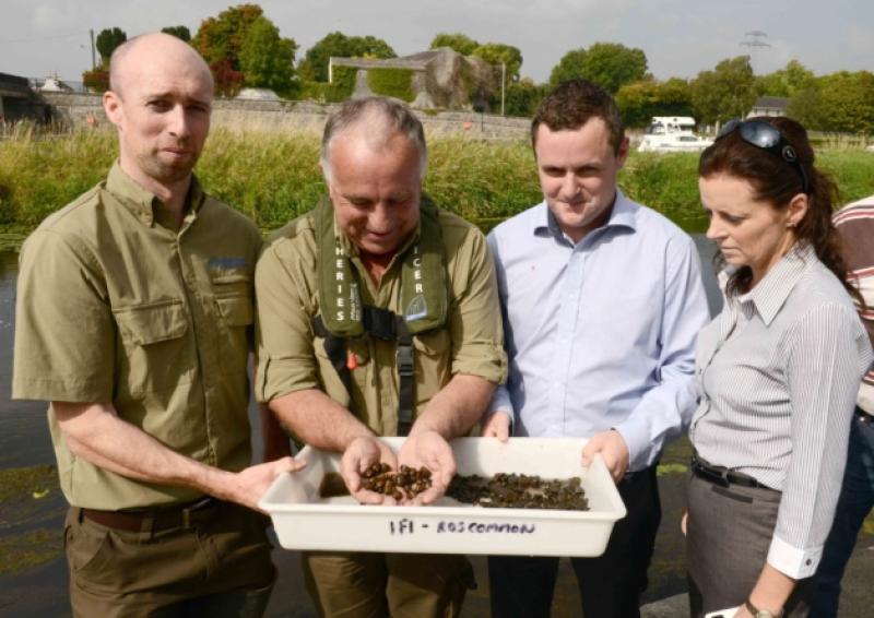 Oisin Naughton, John Devanney, and Amanda Mooney of Inland Fisheries Ireland pictured with Cllr Gerald Farrell  in September when the Asian clams were first discovered in Lanesboro. Photo: Declan Gilmore Photography
