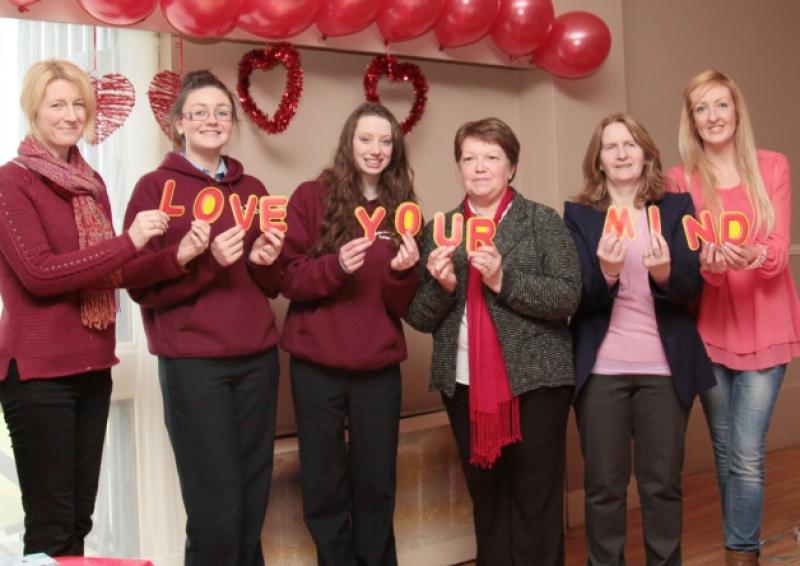Ann Howard (third from right) with Anita Griffin, Ciara Hanley, Ailbhe Farrell, Finola Colgan (MHA), and Shelley Corcoran at a book launch last year.