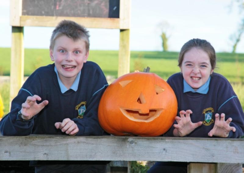 Cian O'Reilly and Ella Mulligan with one of the pumpkins grown by pupils at Abbeylara National School