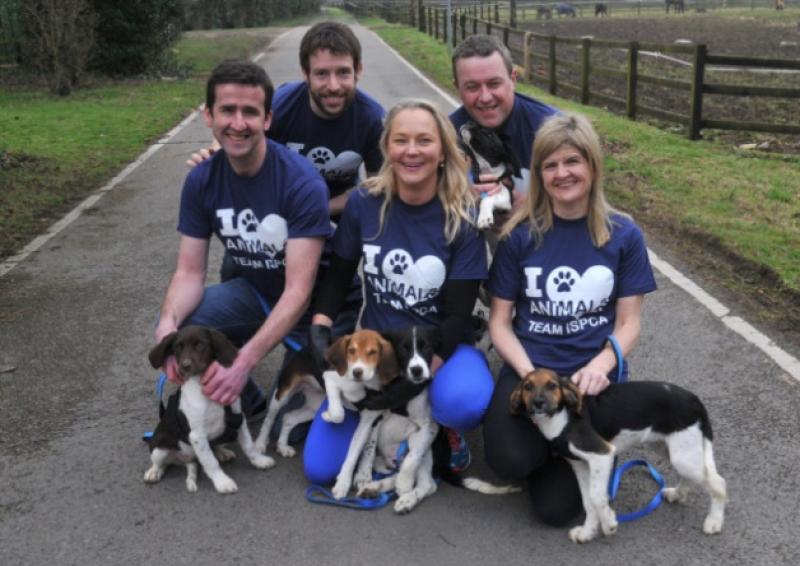Eoin O'Boyle, David Hanley, Dr Eva Orsmond, Fintan Duffy, and Marie Deasy will run in the Paris Marathon this weekend in aid of the ISPCA. Photo: Peter Wilcock