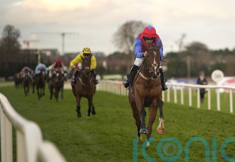 Mullins assembling formidable Champion Bumper squad