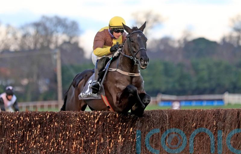 Can Galopin Des Champs live up to his billing at Leopardstown?