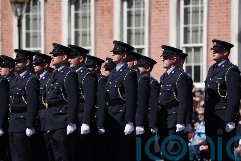 Justice Minister urged to increase garda numbers to tackle rural crime