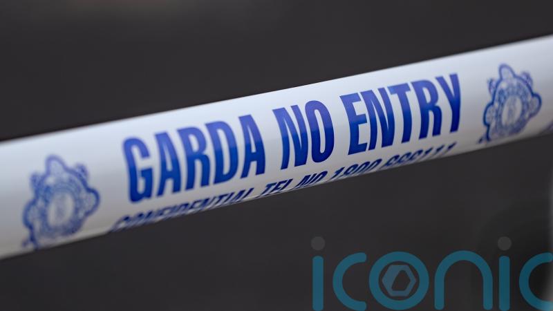 Man dies after van enters water at Co Offaly marina