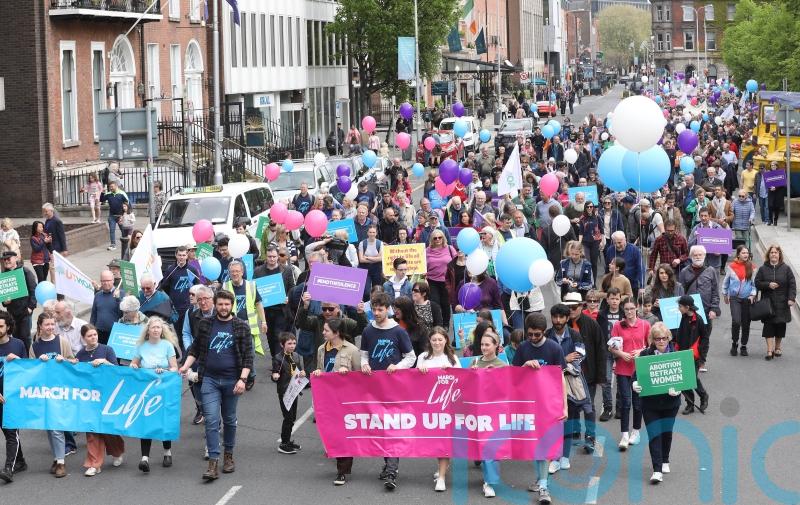 Pro-life demonstration hears criticism of ‘extreme’ abortion law recommendations