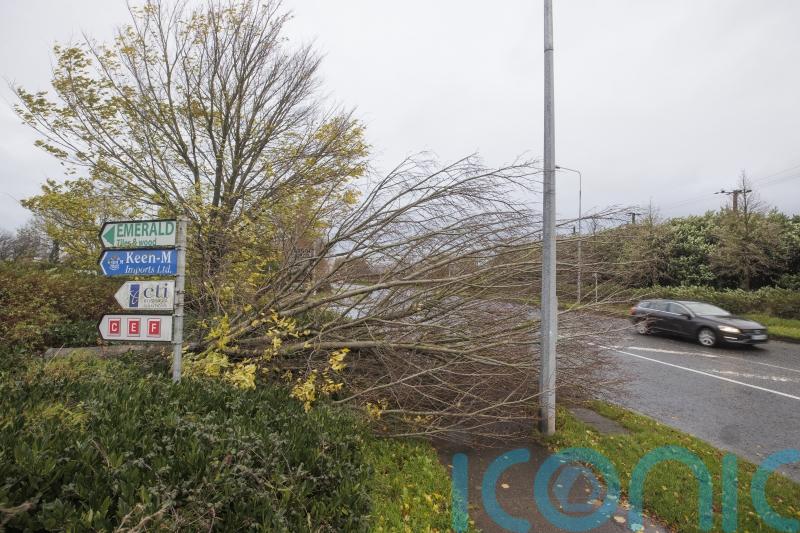 Power cuts hit 100,000 homes as Storm Debi sweeps across Ireland
