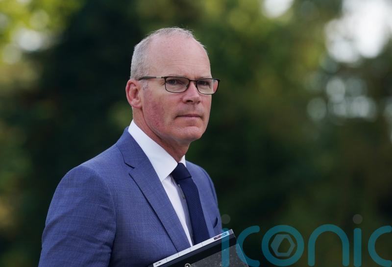 Former Tanaiste Simon Coveney will not stand in next general election