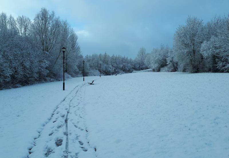 OPINION: What a pain in the 'slush' snow is - Ireland just isn't able to deal with it!