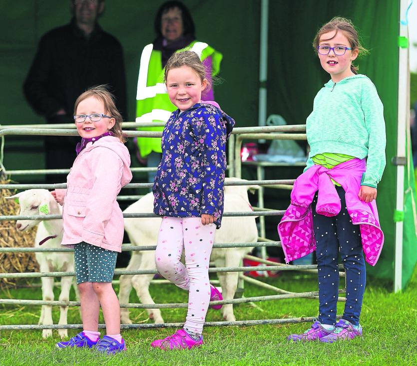 Maria, Lucy and Anna McHale enjoying the pet farm at the event 