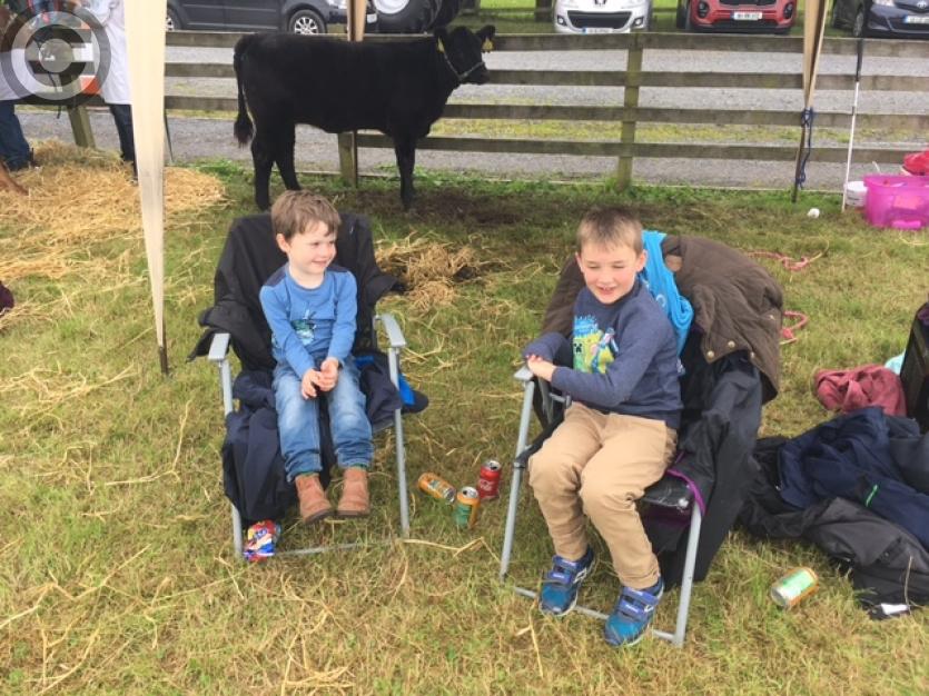 Granard Agricultural Show 2017 
