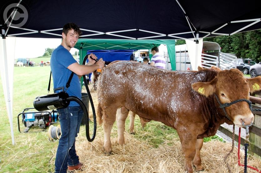 Granard Agricultural Show 2017 