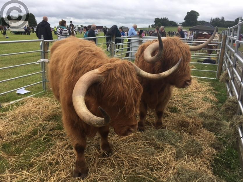 Granard Show 2017