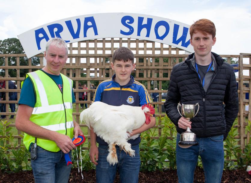 Arva Show