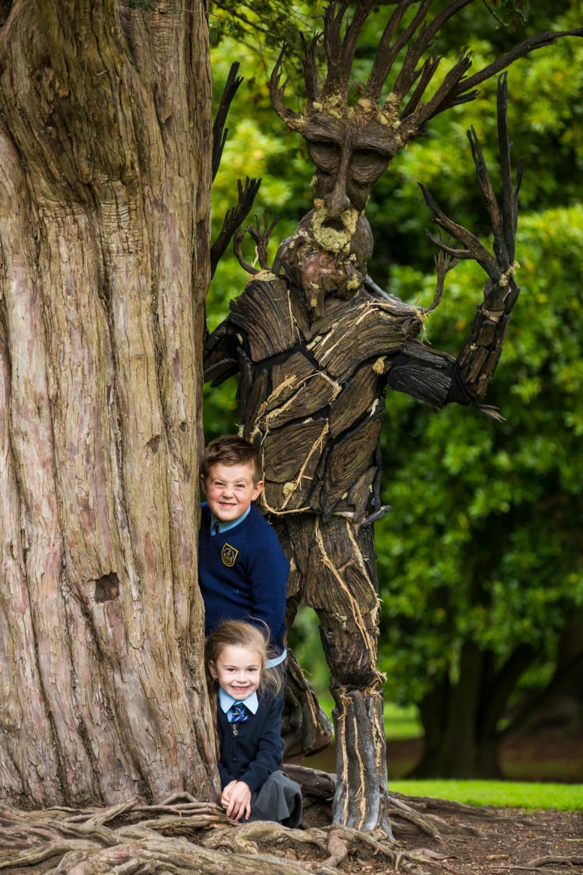 Tetra Pak Tree Day in Longford