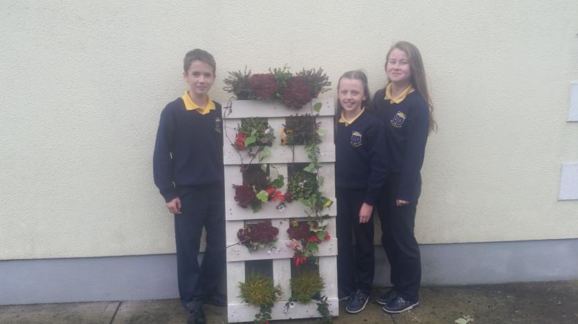 Longford County Council Local Environmental Partnership Fund and the Litter & Graffiti Awareness Grant 