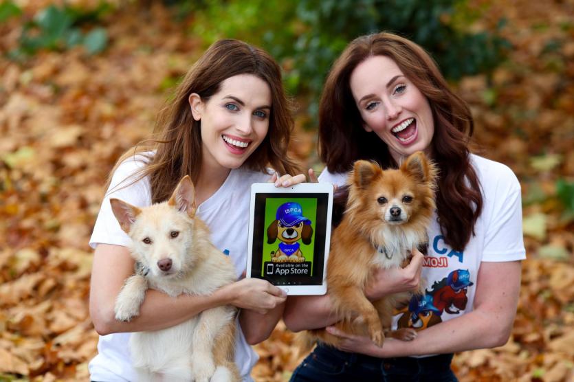 Holly White and Aoibheann McCaul launch the ISPCA Petmoji App