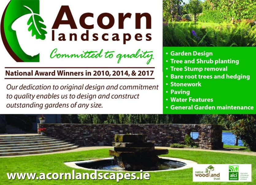 Carrick-on-Shannon based Acorn Landscapes wins prestigious landscape award