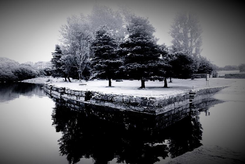 Longford Leader Christmas Photo Competition