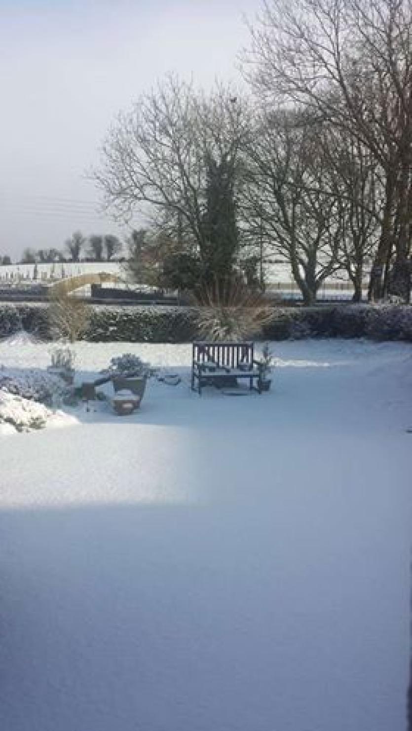 Leader readers share their snow photos 