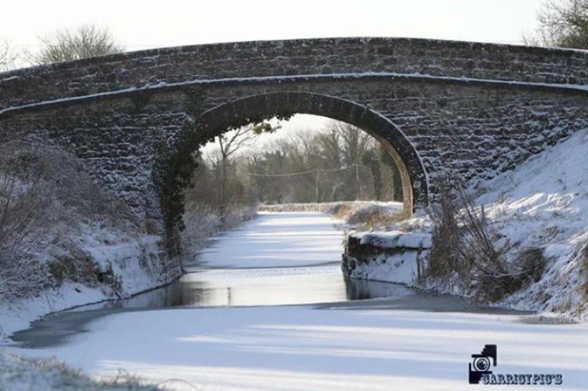 Leader readers share their snow photos 