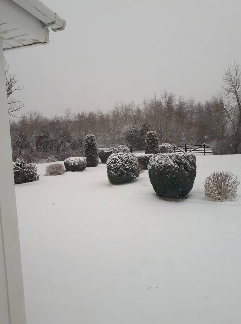 Leader readers share their photos from around the county today