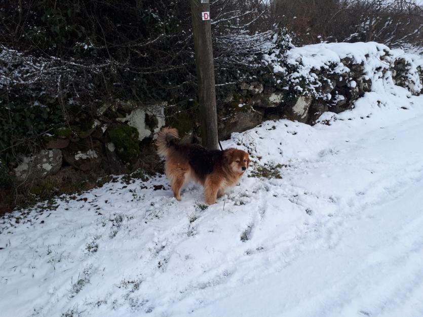 Leader readers share their snow photos 