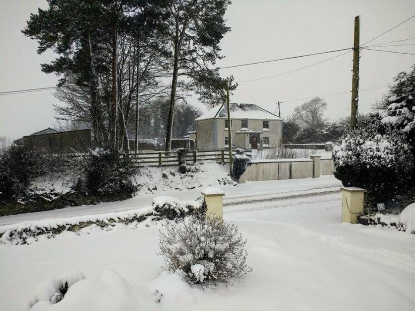 Longford Leader readers share their snow photos 